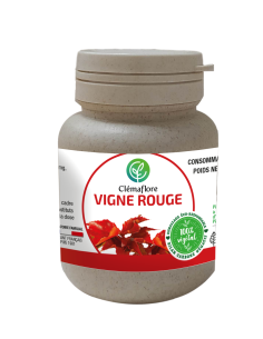 RED VINE (Vigne Rouge)